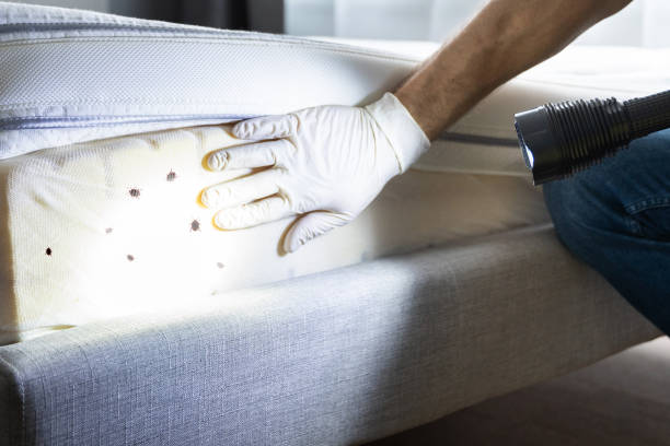 Best Affordable Pest Control Services  in Tuscarawas, OH