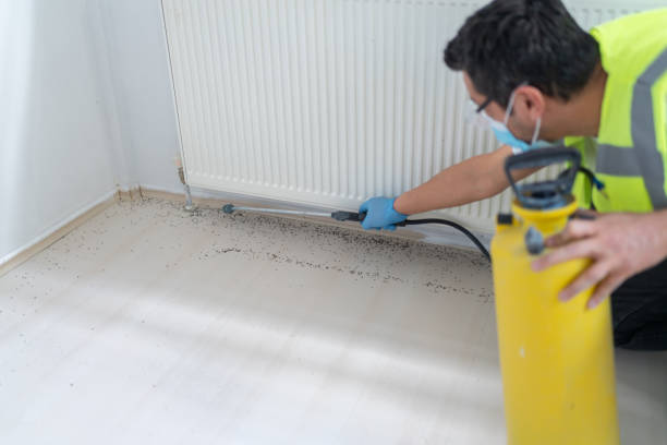 Best Bed Bug Extermination  in Tuscarawas, OH